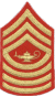 Learn Rank !&nbsp; -&nbsp; Enlisted & Officer JROTC Rank Insignias