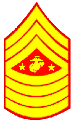 Learn Rank !&nbsp; -&nbsp; Enlisted Military Rank Insignias