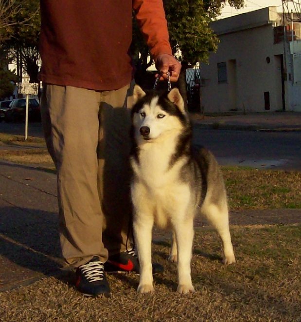 Cierre de Criadero Mc kennas