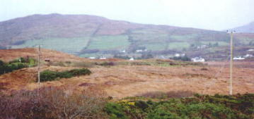 panaramic view