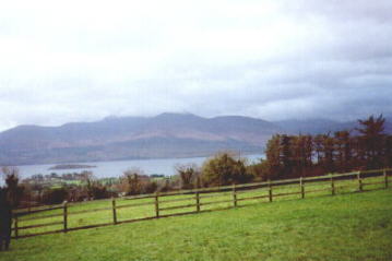 panaramic view