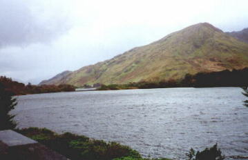 panaramic view
