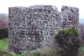 a closeup view of another ring fort
