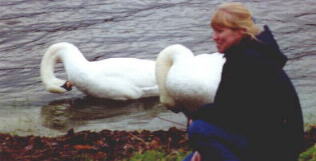 Bonita with swans