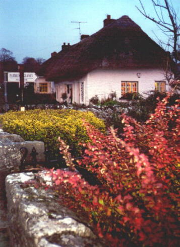 A thatched house