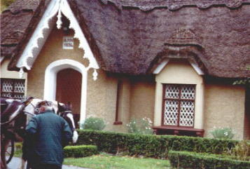 A thatched house