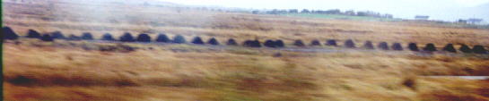 a line of turf mounds in the field