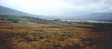 panaramic