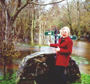 Flooded parking area