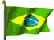 Flag Of Brazil