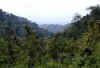 Dscn0076A.jpg (44226 bytes)