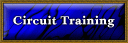 The Art of Circuit Training