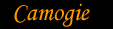Camogie