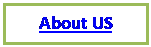 Text Box: About US