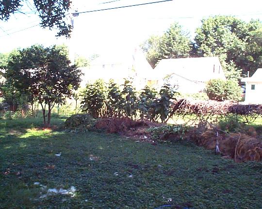 Back yard unfinished burm