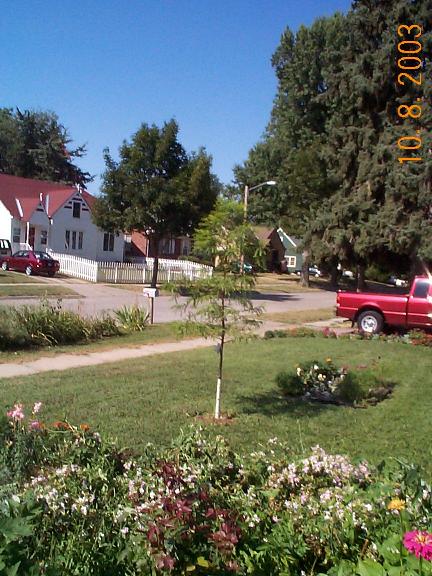 Front Yard
