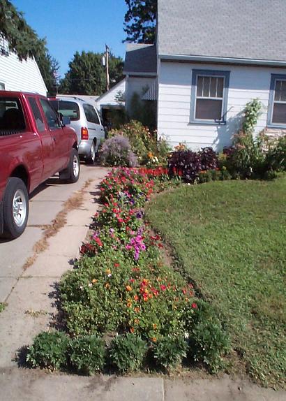 Left edge of front yard