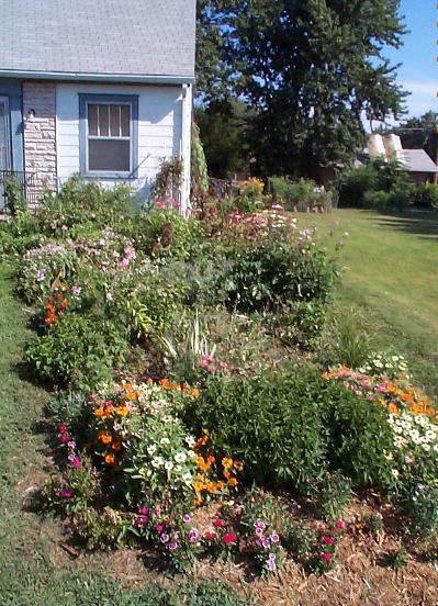 Right edge of front yard