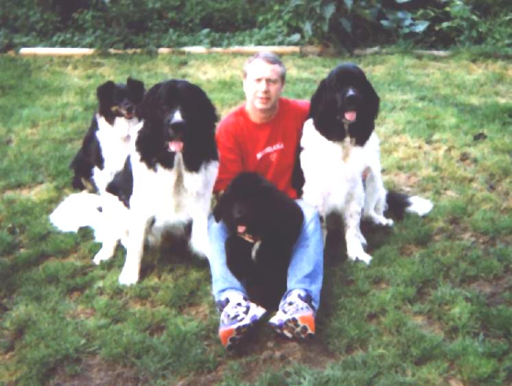 Our dogs