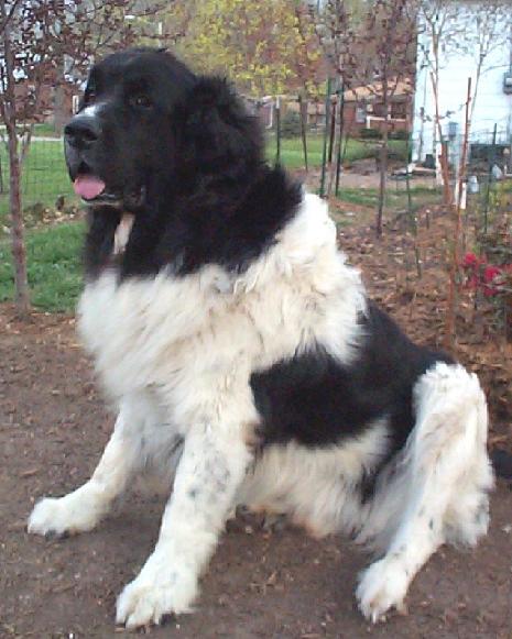 Winston 4/8/04