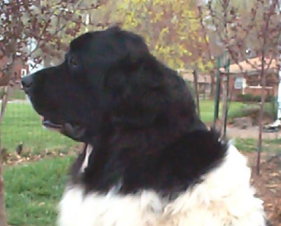 Winston 4/8/04