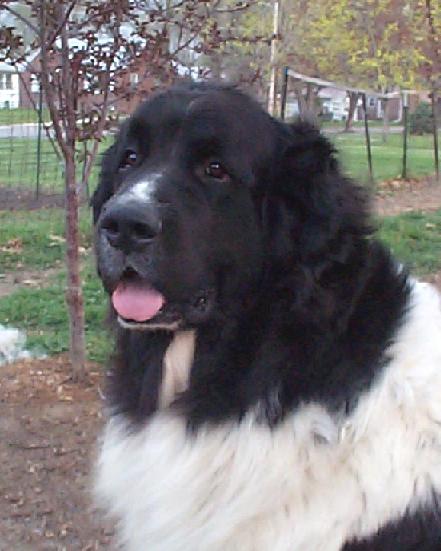 Winston 4/8/04