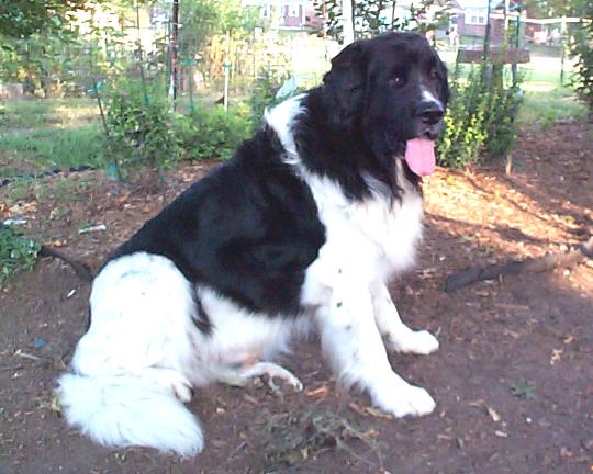 Winston 8/10/03