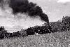 #12 with coal train