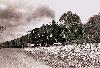 #12 with coal train