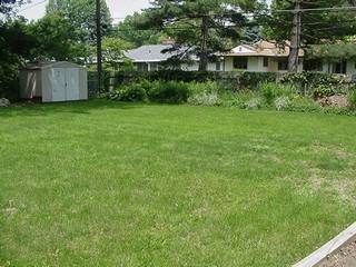 Our backyard