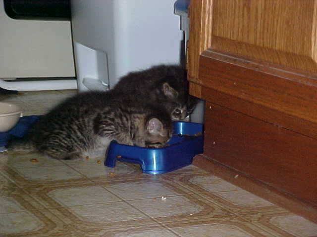 I can barely get my mouth in here!