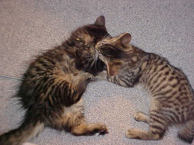 Got your ear!