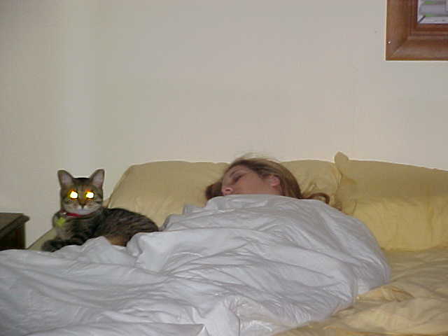 Guarding Mommy