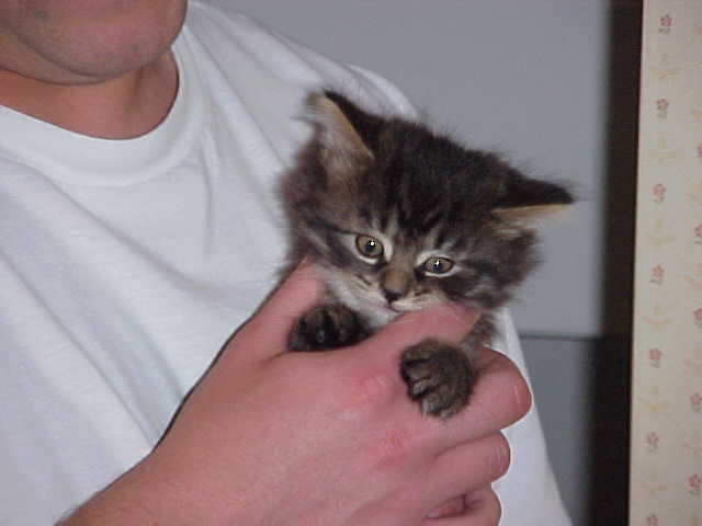 My first photo!