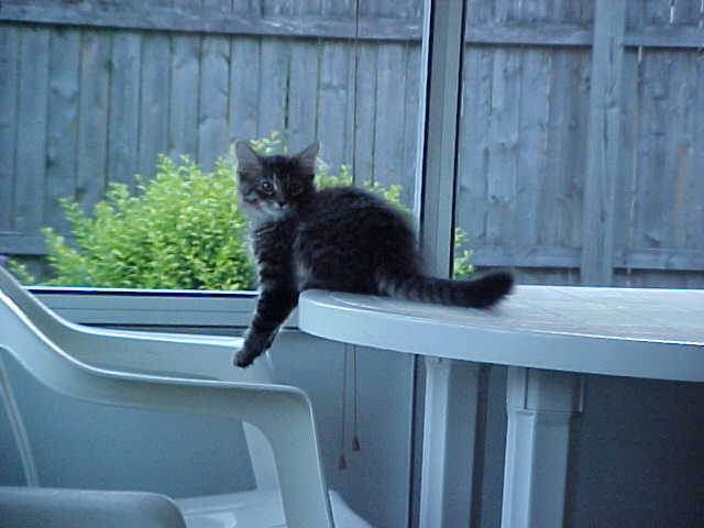 On the table