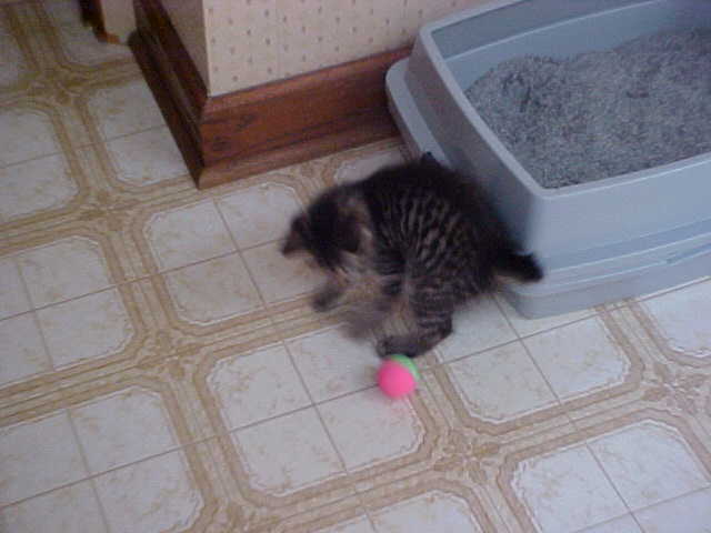 My Ball