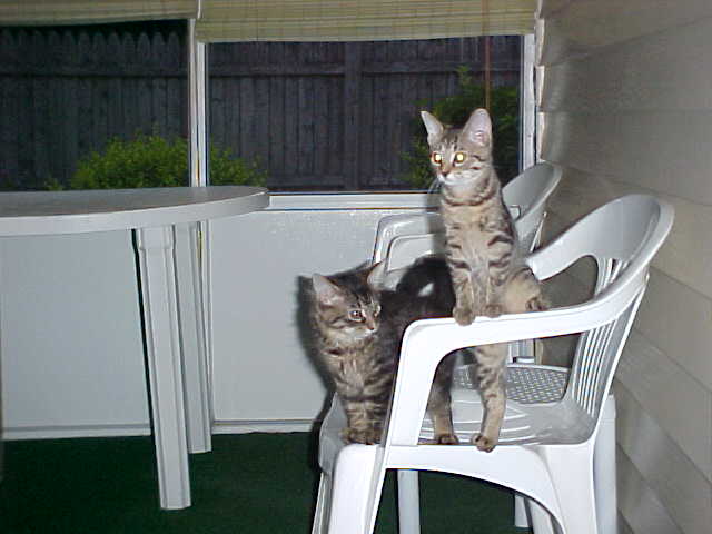 We love being outside!
