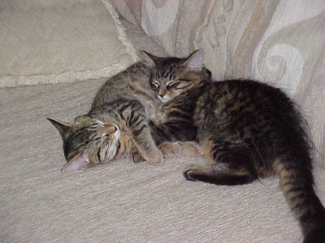 We love each other!