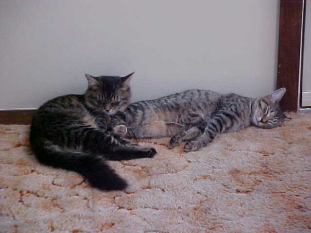 We can sleep anywhere