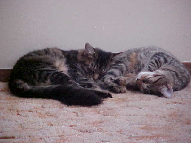 Good pillow!