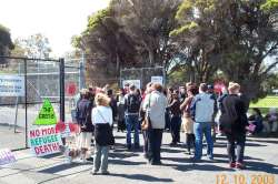 Gathering at the gate