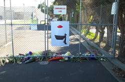 Flowers at the gate