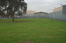 the unusable grass area