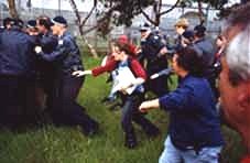 Pursuing the police
