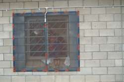 Face at window