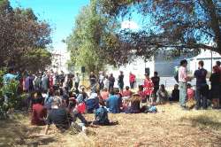 The crowd