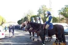 Police lineup