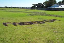 Freedom in the grass