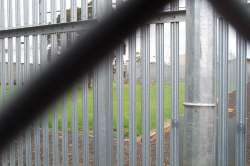 The grassed area