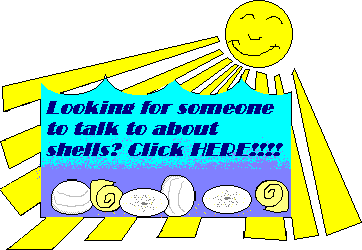 Looking for someone to talk to about shells? Click here!